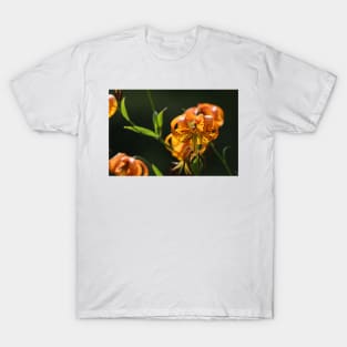 Turk's Cap Lily T-Shirt